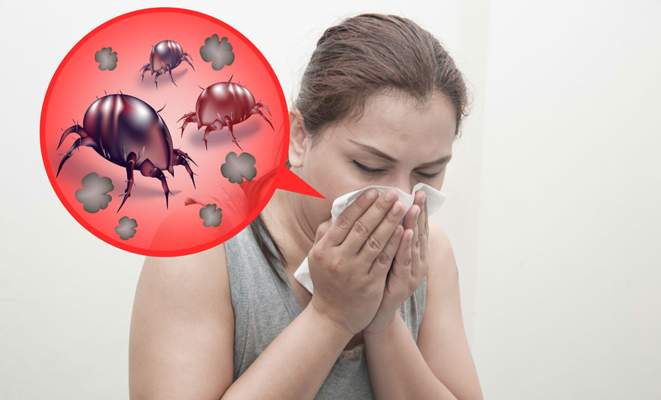 Allergie aux Acariens